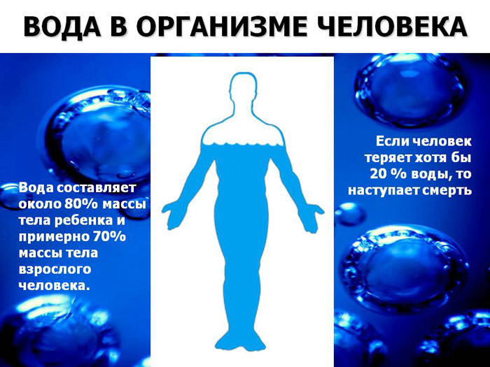 сколько процентов воды в мышцах